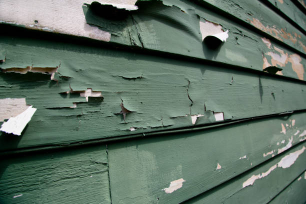 Professional Siding Installation & Repair in Newington Forest, VA