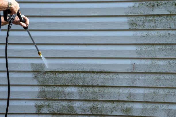 Best Brick Veneer Siding  in Newington Forest, VA